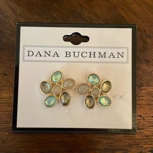 Dana Buckman post earrings New!